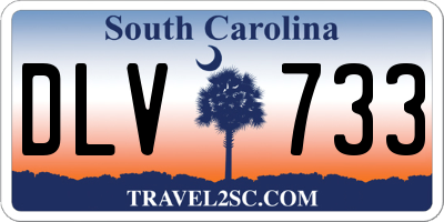 SC license plate DLV733