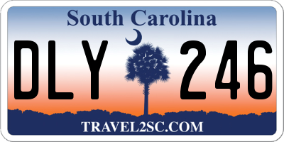 SC license plate DLY246