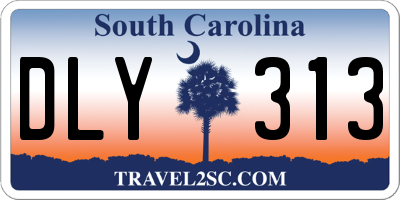 SC license plate DLY313