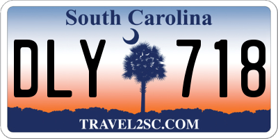 SC license plate DLY718