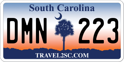 SC license plate DMN223