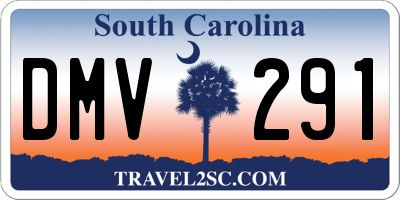 SC license plate DMV291