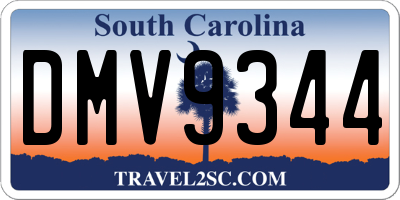 SC license plate DMV9344