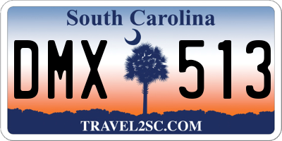 SC license plate DMX513