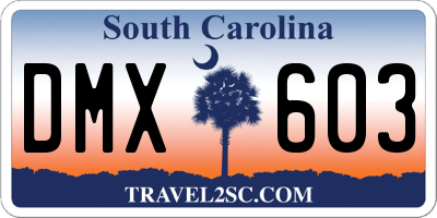 SC license plate DMX603