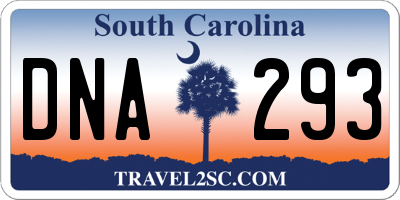 SC license plate DNA293