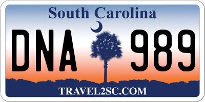 SC license plate DNA989