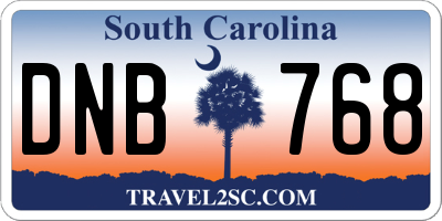 SC license plate DNB768