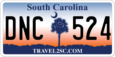 SC license plate DNC524