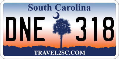 SC license plate DNE318