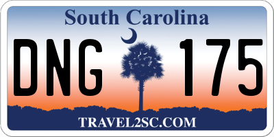 SC license plate DNG175