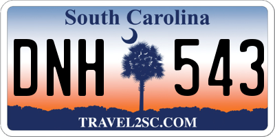 SC license plate DNH543