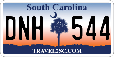 SC license plate DNH544
