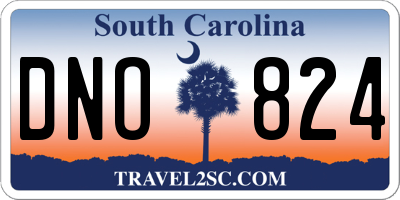 SC license plate DNO824