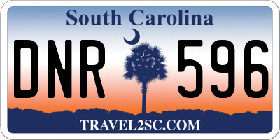 SC license plate DNR596