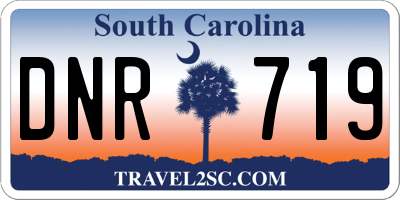 SC license plate DNR719
