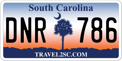 SC license plate DNR786