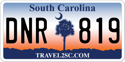 SC license plate DNR819