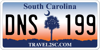 SC license plate DNS199