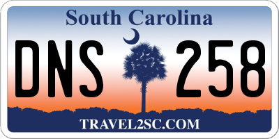 SC license plate DNS258
