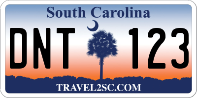 SC license plate DNT123