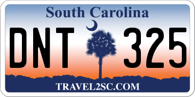 SC license plate DNT325