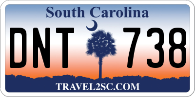 SC license plate DNT738