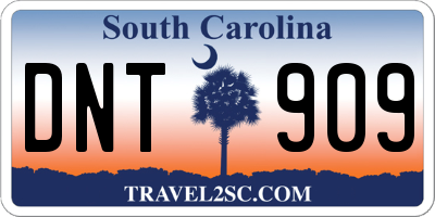 SC license plate DNT909