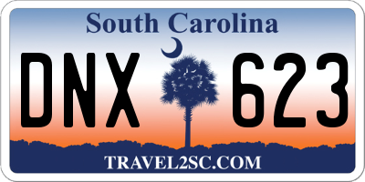 SC license plate DNX623