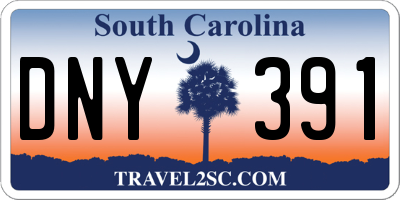 SC license plate DNY391