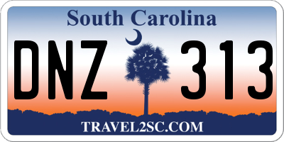 SC license plate DNZ313