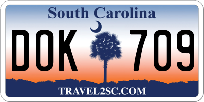 SC license plate DOK709