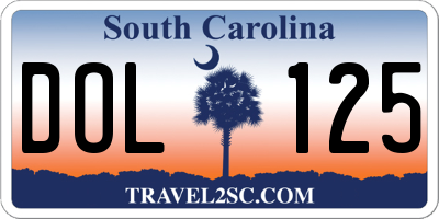 SC license plate DOL125