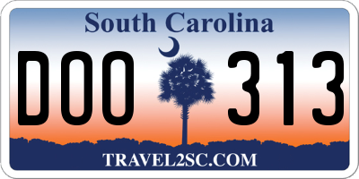 SC license plate DOO313