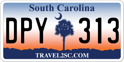SC license plate DPY313
