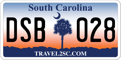 SC license plate DSB028
