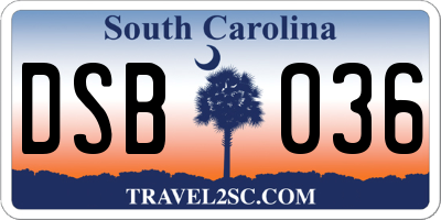 SC license plate DSB036