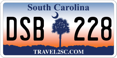 SC license plate DSB228
