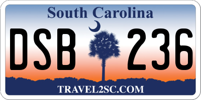 SC license plate DSB236