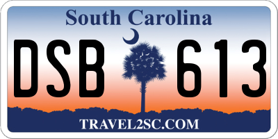 SC license plate DSB613