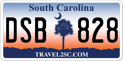 SC license plate DSB828