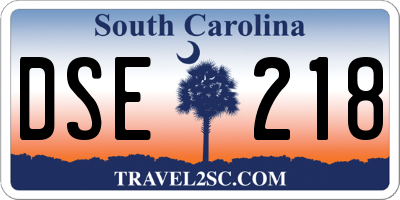 SC license plate DSE218