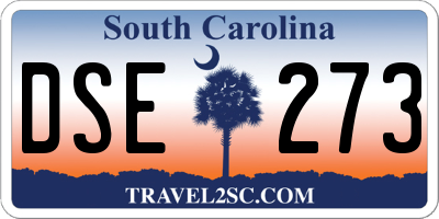 SC license plate DSE273