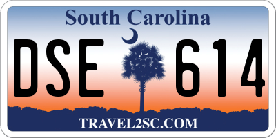 SC license plate DSE614