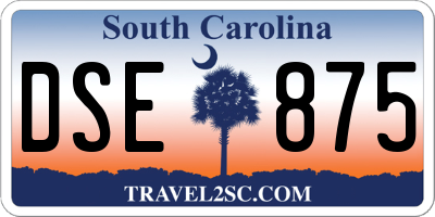 SC license plate DSE875