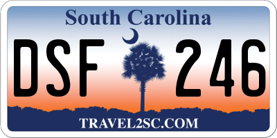 SC license plate DSF246