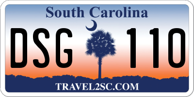 SC license plate DSG110