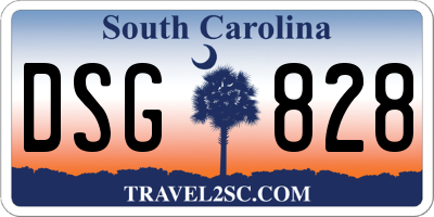 SC license plate DSG828