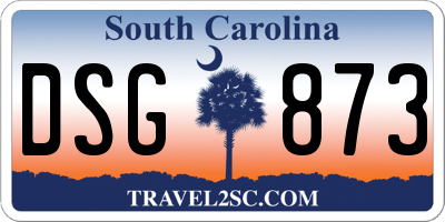 SC license plate DSG873