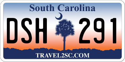 SC license plate DSH291
